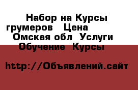 Набор на Курсы грумеров › Цена ­ 20 000 - Омская обл. Услуги » Обучение. Курсы   